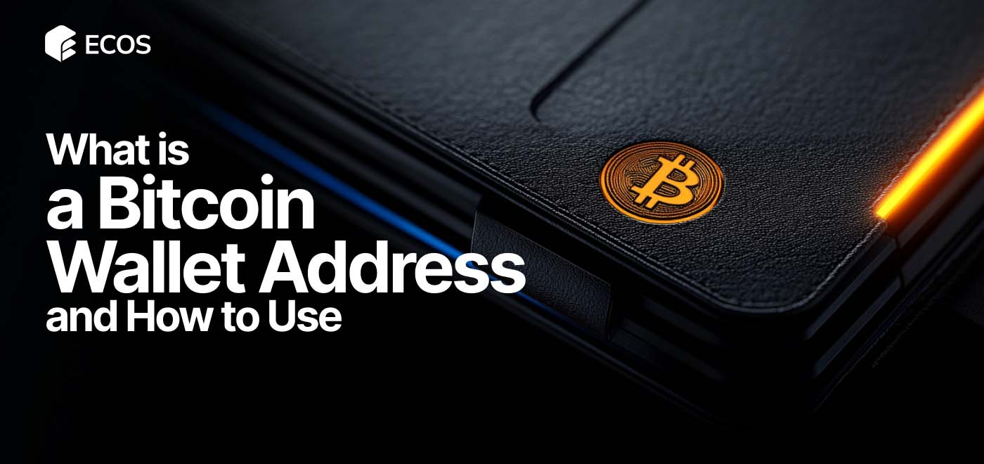 Bitcoin Wallet Address: Types, Creation, and Security Tips for Safe Transactions