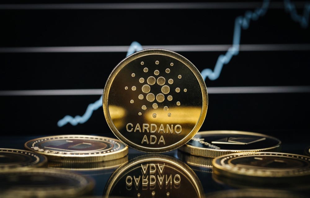 Should You Invest in Cardano?